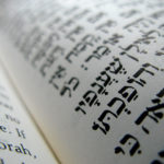 Book of Samuel with Rabbi Werbin