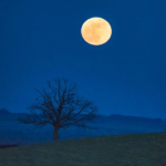 Tikun Leyl Shavuot - Cheesecake & Ice Cream Bar