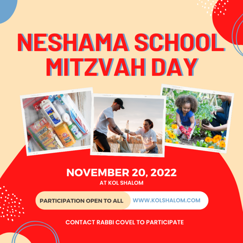 Mitzvah Day and Camp Fair