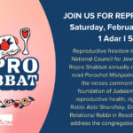 Repro Shabbat at Kol Shalom